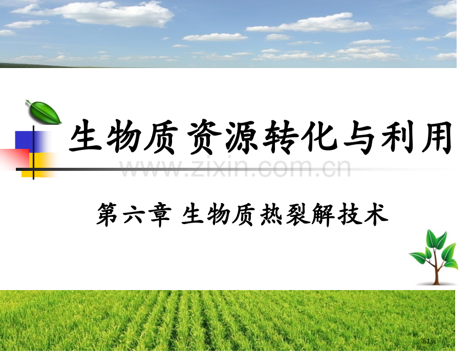 生物质资源转化和利用生物质热裂解技术省公共课一等奖全国赛课获奖课件.pptx_第1页