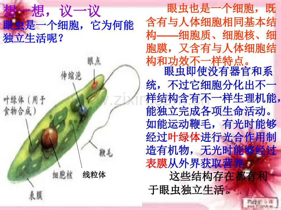 七年级上生物单细胞生物省公共课一等奖全国赛课获奖课件.pptx_第2页