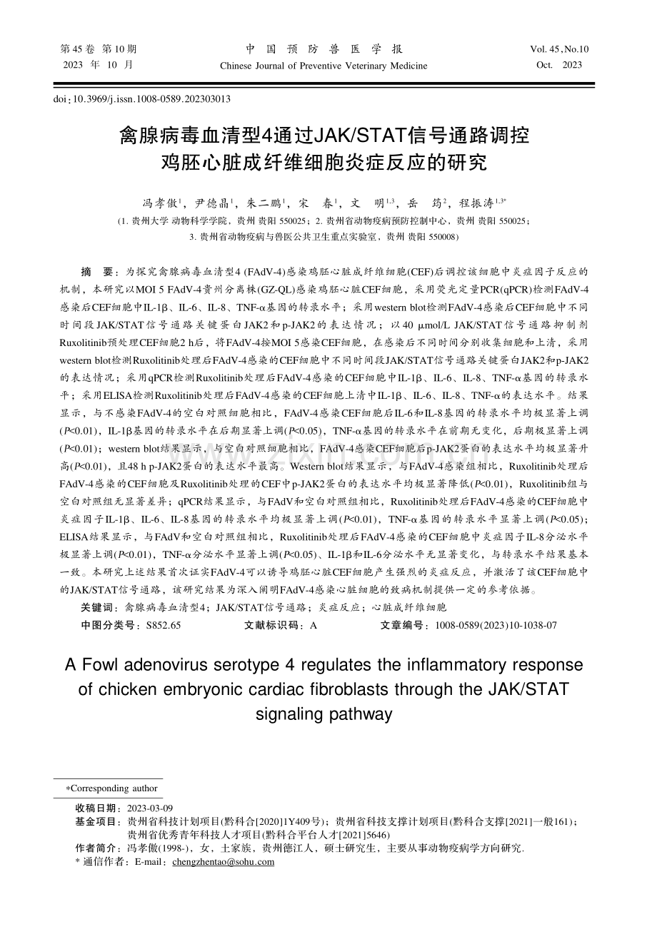 禽腺病毒血清型4通过JAK_STAT信号通路调控鸡胚心脏成纤维细胞炎症反应的研究.pdf_第1页