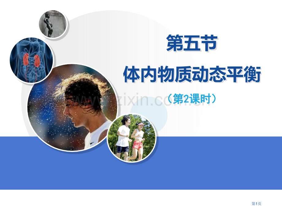 浙教版九年级上册科学4.5体内物质的动态平衡优秀课件省公开课一等奖新名师优质课比赛一等奖课件.pptx_第1页