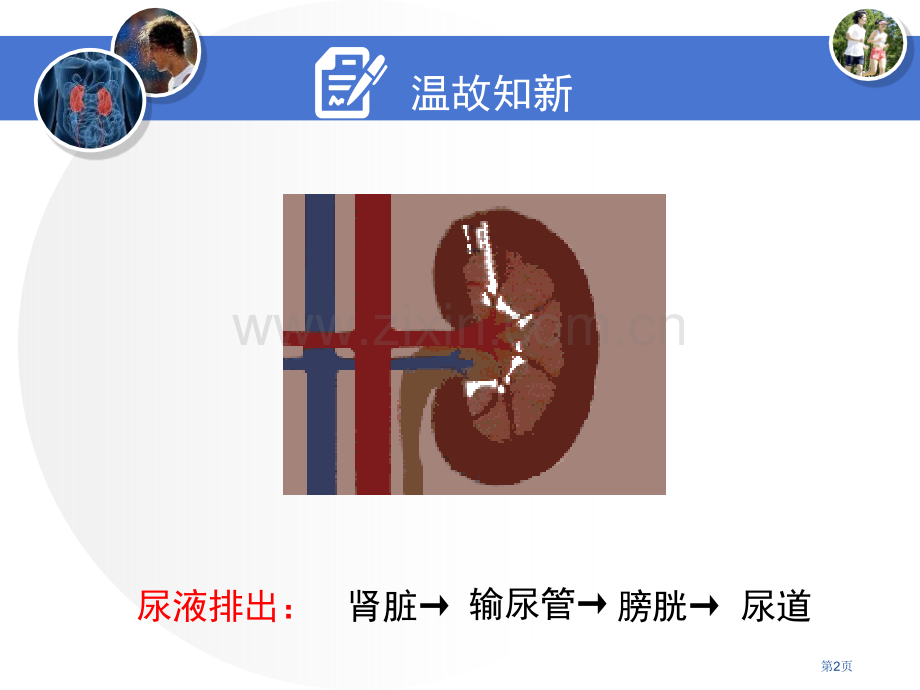 浙教版九年级上册科学4.5体内物质的动态平衡优秀课件省公开课一等奖新名师优质课比赛一等奖课件.pptx_第2页