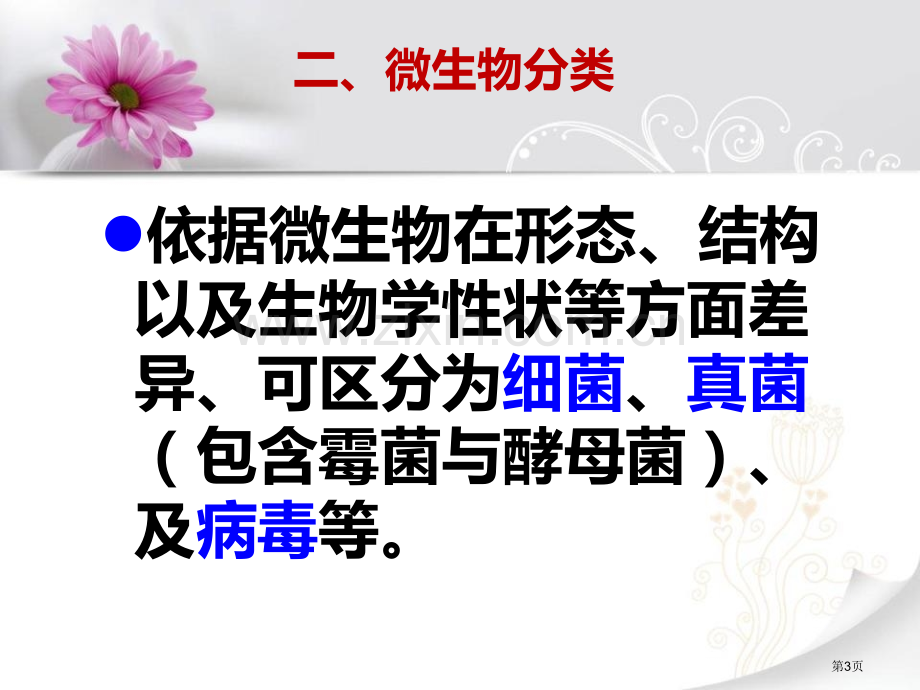 无处不在的微生物课件省公开课一等奖新名师优质课比赛一等奖课件.pptx_第3页