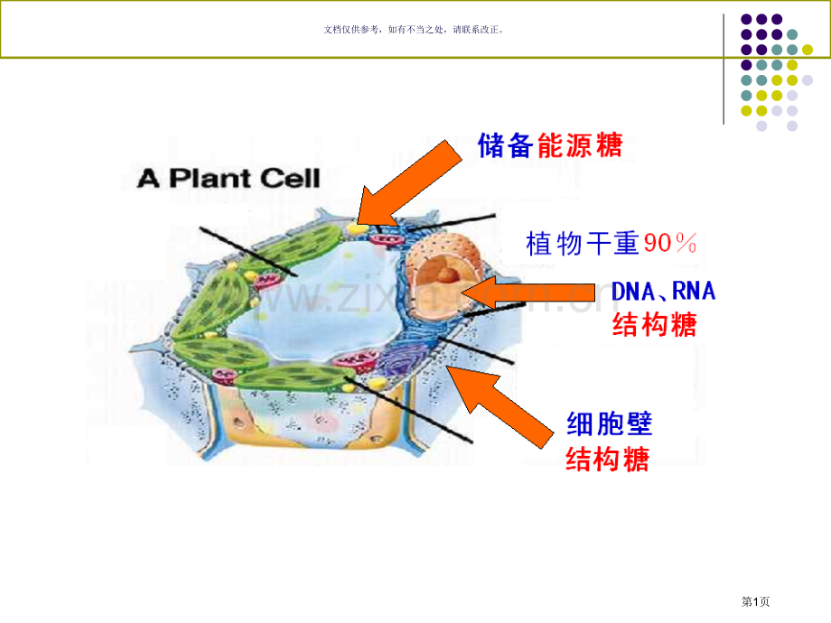 糖类和糖生物学省公共课一等奖全国赛课获奖课件.pptx_第1页