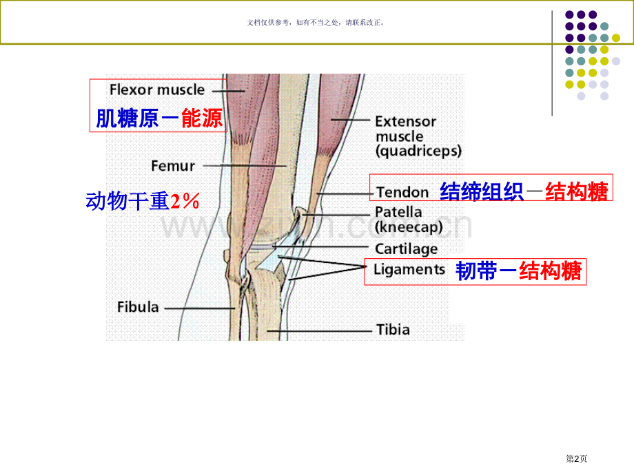 糖类和糖生物学省公共课一等奖全国赛课获奖课件.pptx_第2页