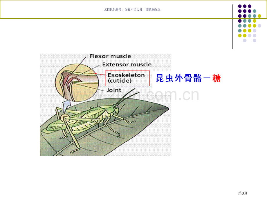 糖类和糖生物学省公共课一等奖全国赛课获奖课件.pptx_第3页