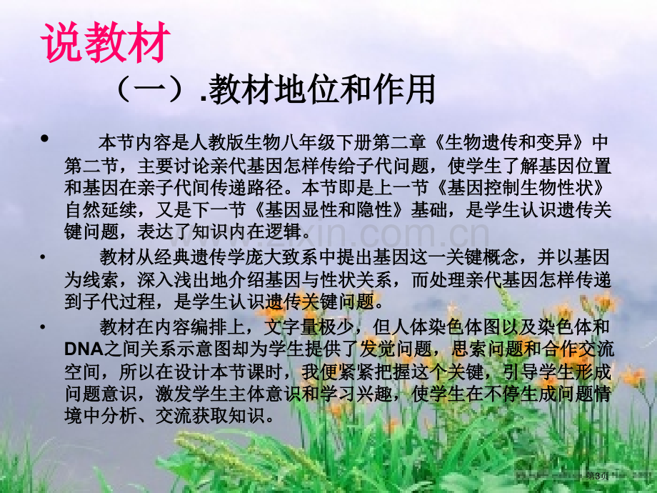 云南屏生物说课市公开课一等奖百校联赛特等奖课件.pptx_第3页