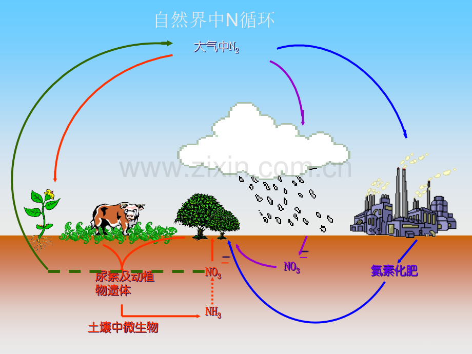 生物固氮原理省公共课一等奖全国赛课获奖课件.pptx_第2页