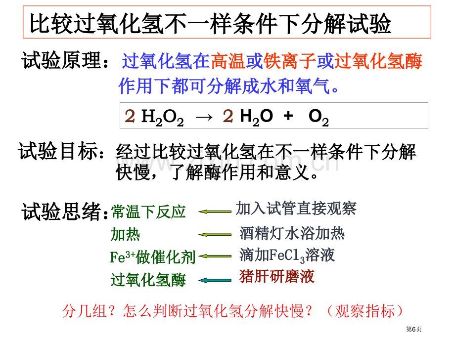 新编降低化学反应活化能的酶专业知识省公共课一等奖全国赛课获奖课件.pptx_第3页