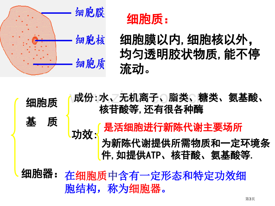 生物细胞器系统内的分工合作新人教版必修省公共课一等奖全国赛课获奖课件.pptx_第3页