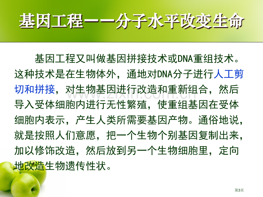 现代生物技术在育种上应用市公开课一等奖百校联赛特等奖课件.pptx_第3页