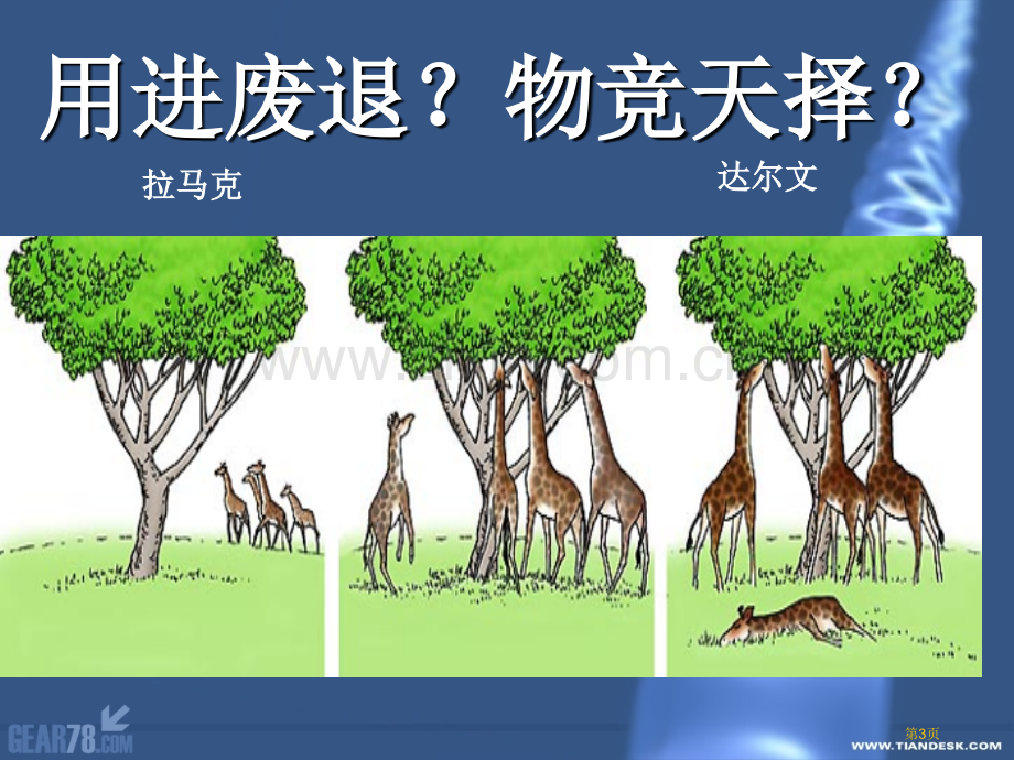 生物的进化专题培训市公开课一等奖百校联赛特等奖课件.pptx_第3页