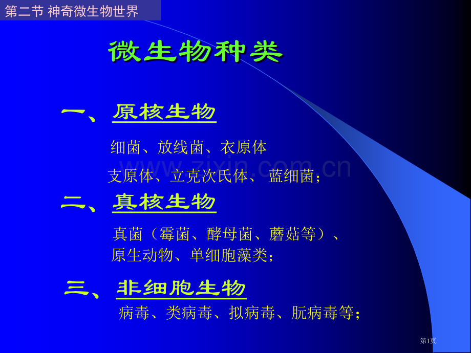 丰富多采的生物世界省公共课一等奖全国赛课获奖课件.pptx_第1页