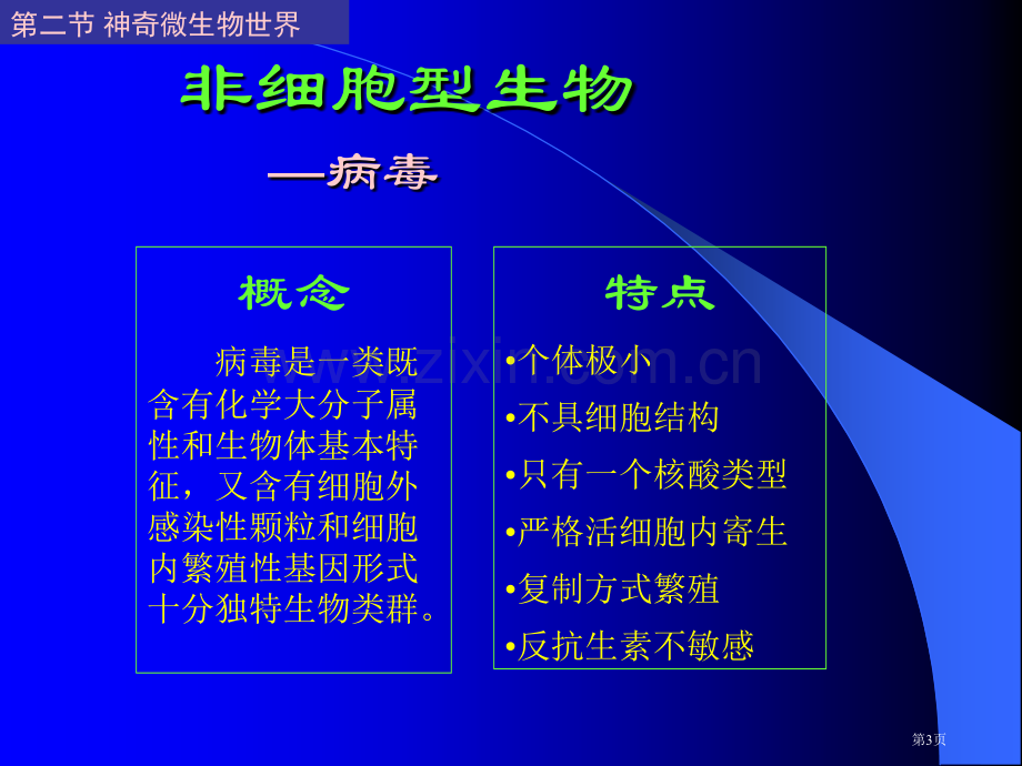 丰富多采的生物世界省公共课一等奖全国赛课获奖课件.pptx_第3页