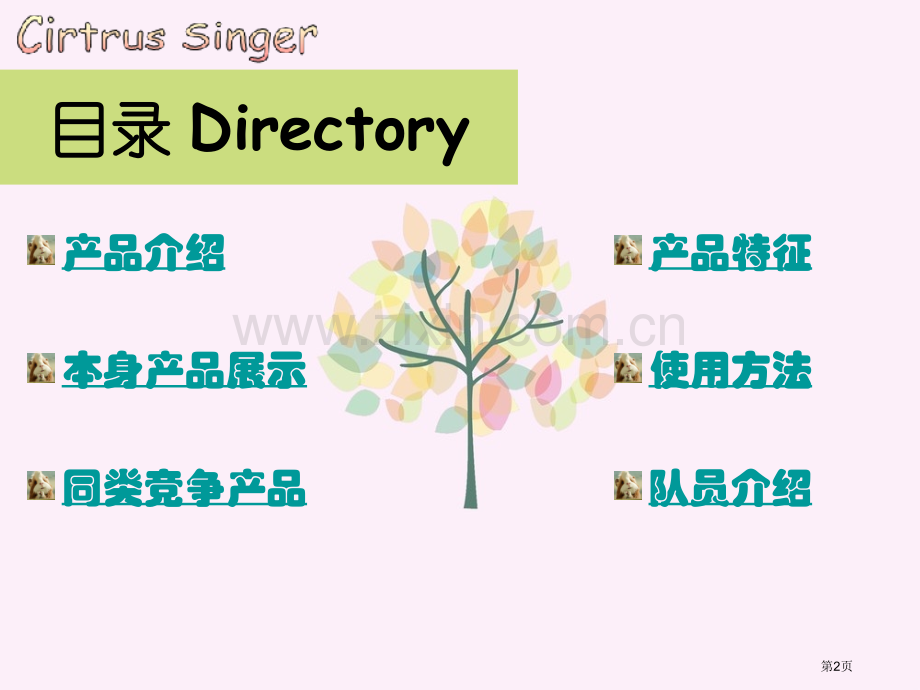 英语产品介绍省公共课一等奖全国赛课获奖课件.pptx_第2页