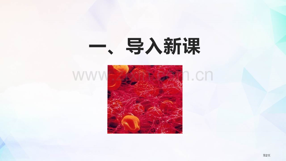 第一节血液和血型省公开课一等奖新名师优质课比赛一等奖课件.pptx_第2页