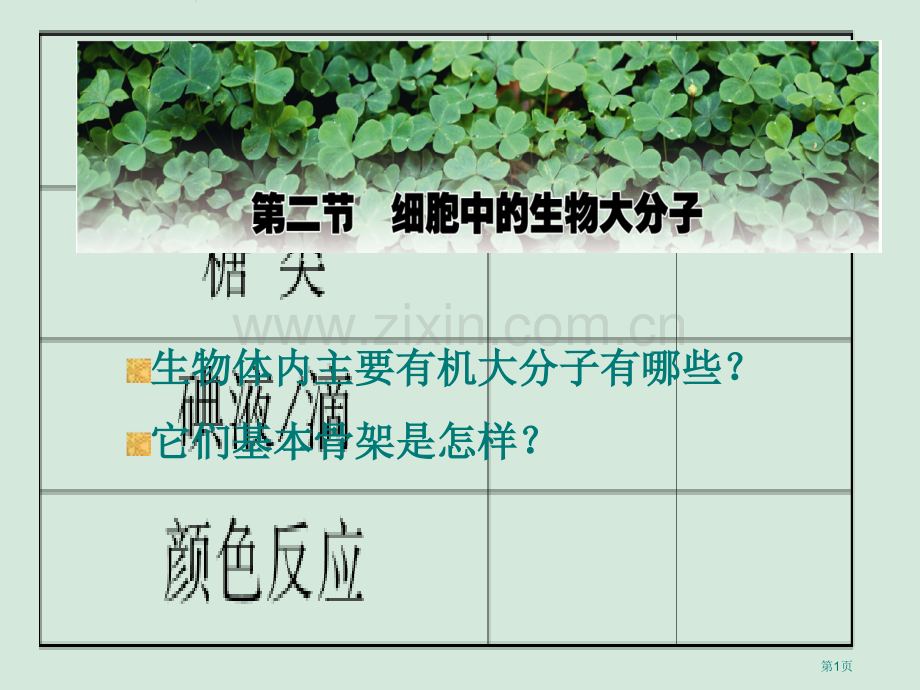 生物体内重要的有机大分子有哪些它们的基本骨架是怎样的市公开课一等奖百校联赛特等奖课件.pptx_第1页