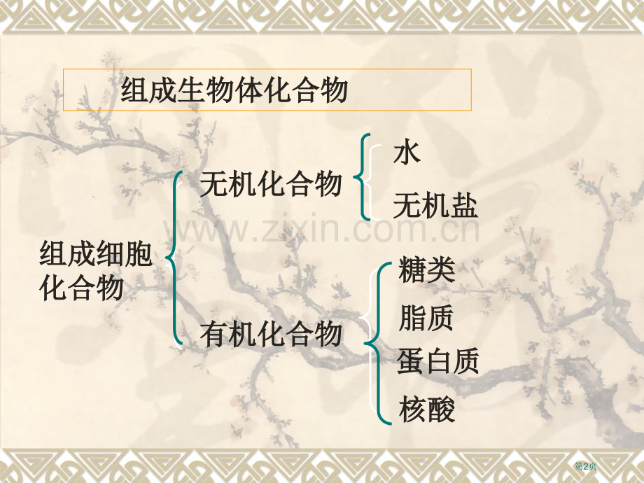 生物体内重要的有机大分子有哪些它们的基本骨架是怎样的市公开课一等奖百校联赛特等奖课件.pptx_第2页