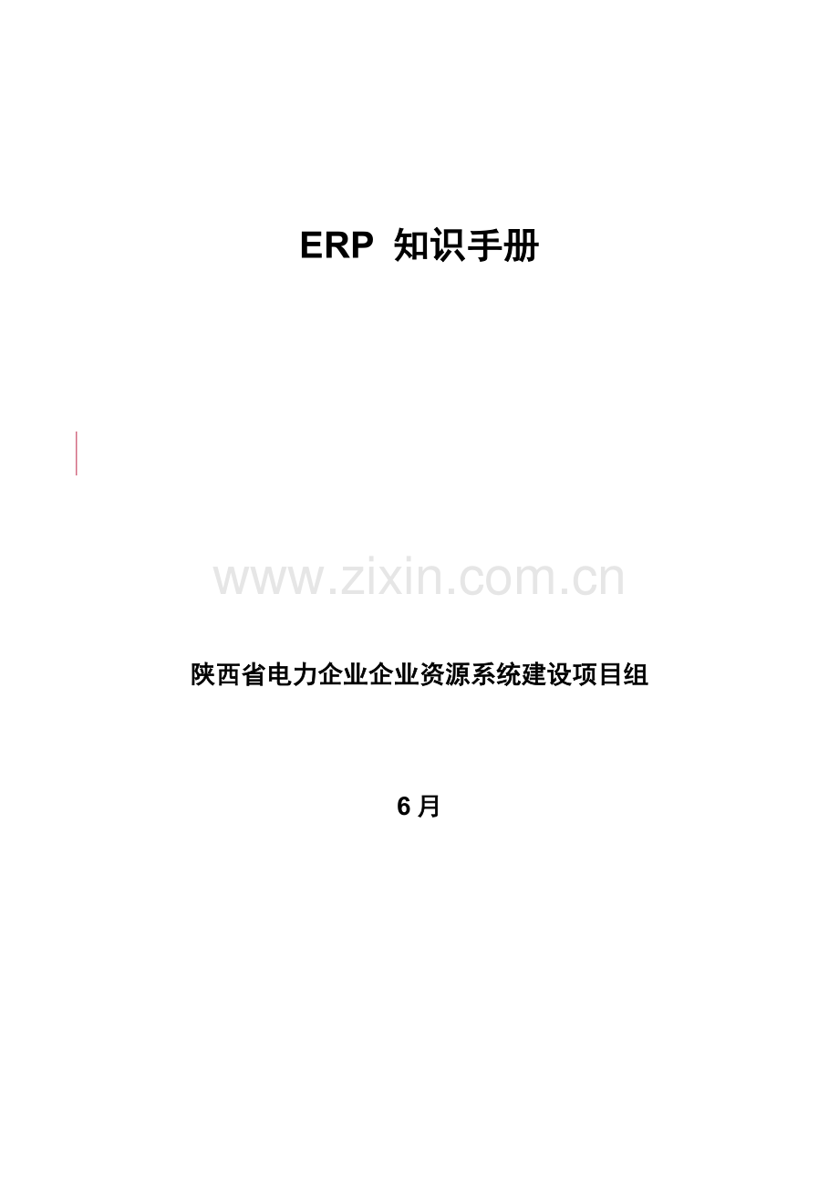 ERP企业资源系统建设项目知识手册模板.doc_第1页