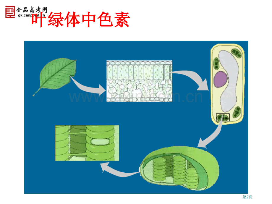 能量之源光与光合作用新人教必修省公共课一等奖全国赛课获奖课件.pptx_第2页