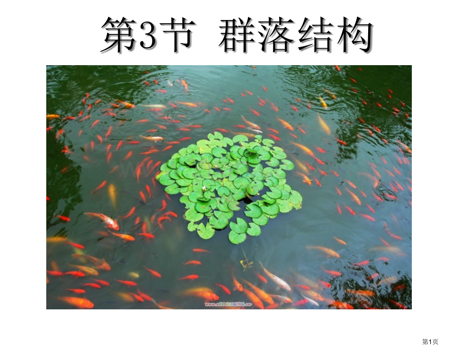 群落的结构文生物必修省公共课一等奖全国赛课获奖课件.pptx_第1页