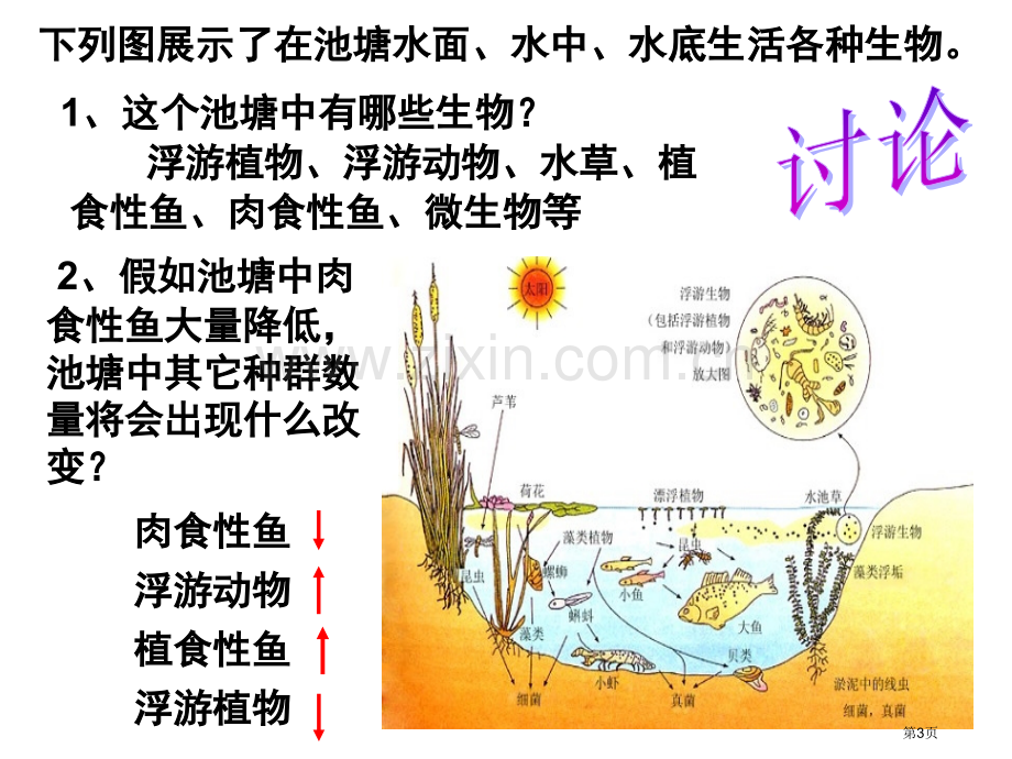 群落的结构文生物必修省公共课一等奖全国赛课获奖课件.pptx_第3页