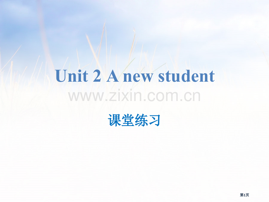 A-new-student课堂练习省公开课一等奖新名师比赛一等奖课件.pptx_第1页