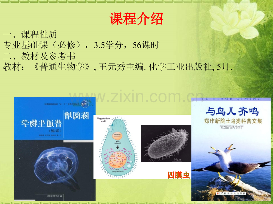 普通生物学绪论市公开课一等奖百校联赛获奖课件.pptx_第2页