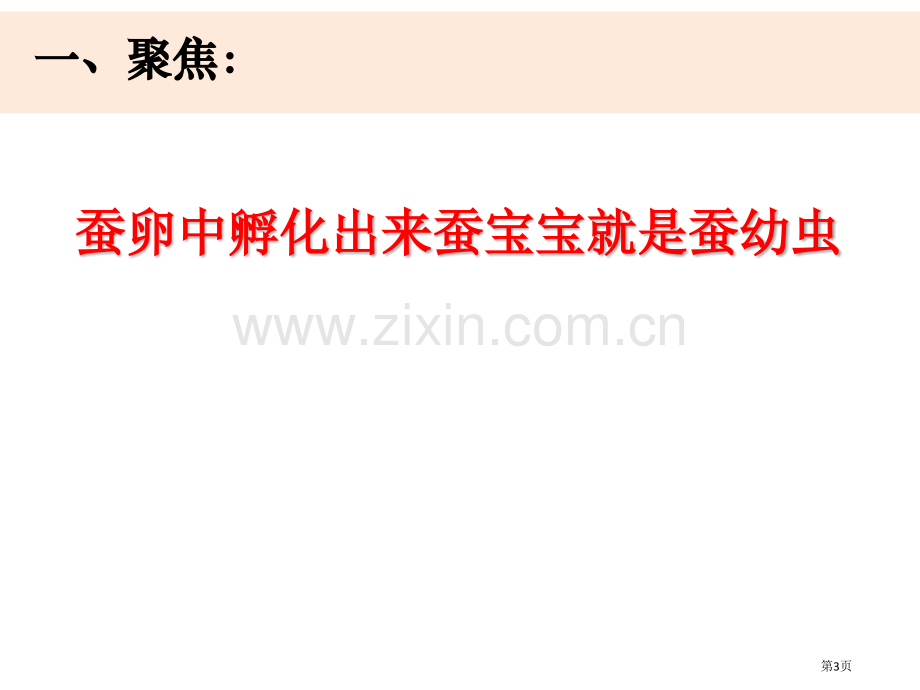 三年级下册科学课件---3.蚕长大了---教科版省公开课一等奖新名师优质课比赛一等奖课件.pptx_第3页