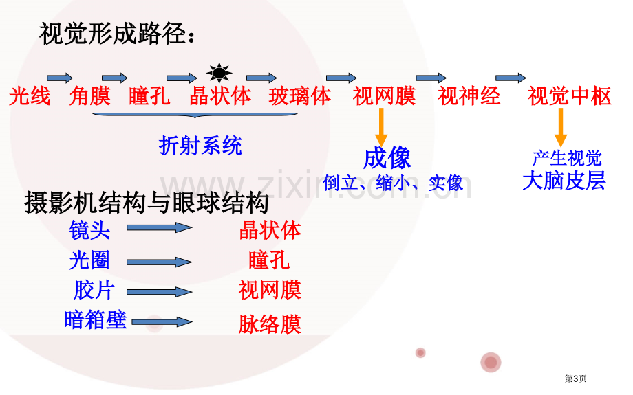 英语复习资料省公共课一等奖全国赛课获奖课件.pptx_第3页