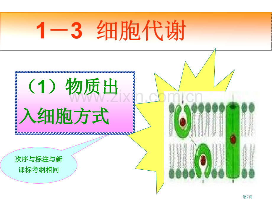 生物一轮复习系列件市公开课一等奖百校联赛特等奖课件.pptx_第2页