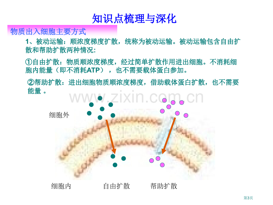 生物一轮复习系列件市公开课一等奖百校联赛特等奖课件.pptx_第3页