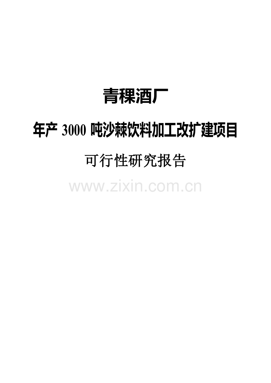 年产3000吨沙棘饮料加工改扩建项目可行性研究报告.doc_第1页