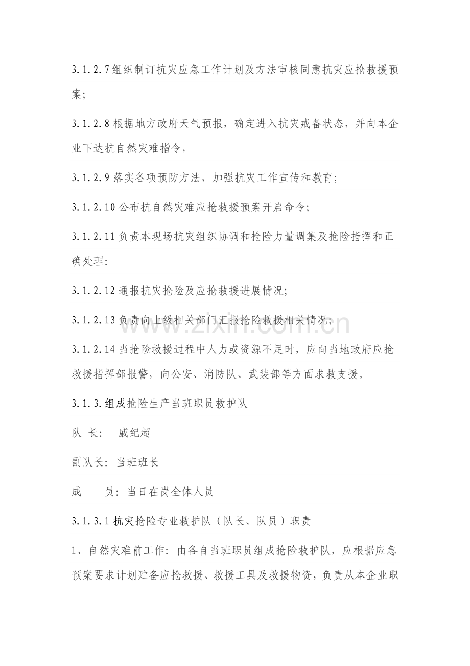 自然灾害事故应急专项预案.docx_第3页