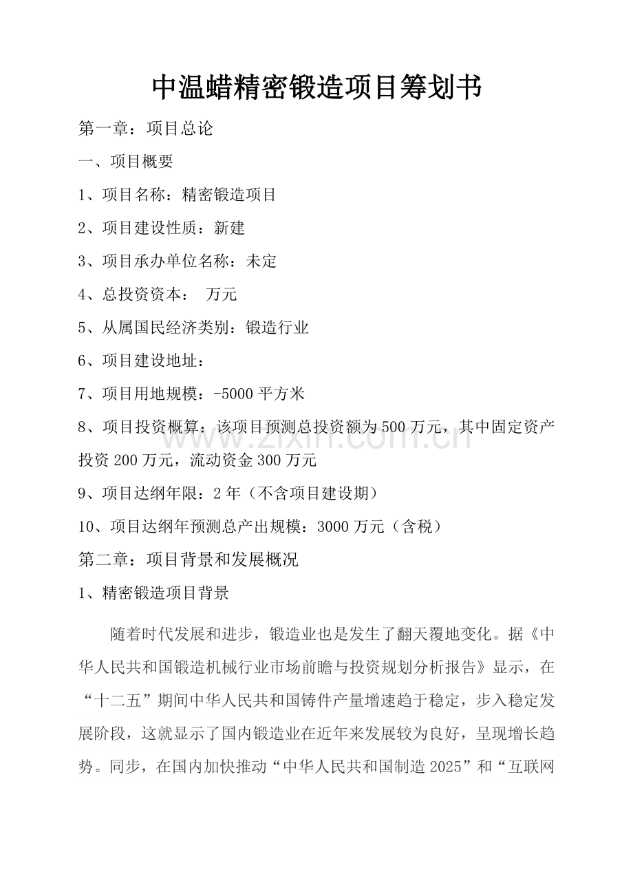 精密铸造综合项目专题计划书.doc_第1页