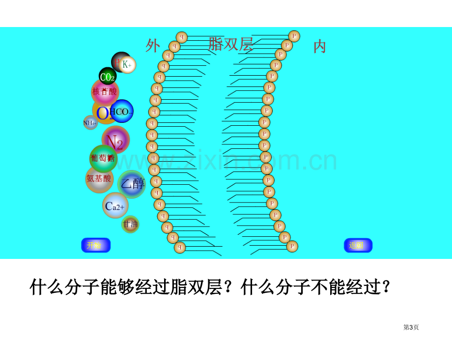 生物必修一（00001）（00002）市公开课一等奖百校联赛特等奖课件.pptx_第3页