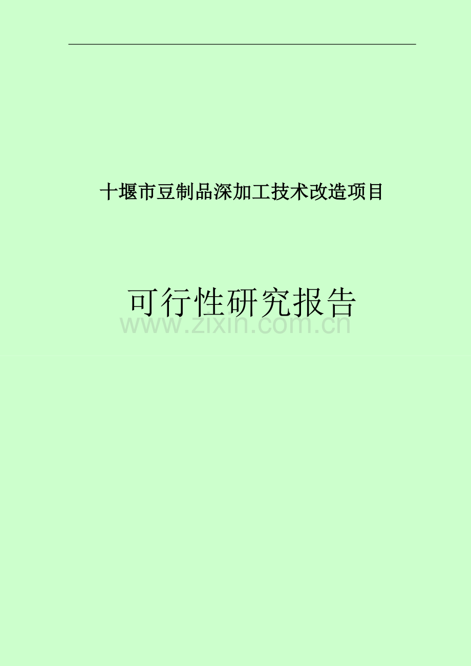 十堰豆制品深加工技术改造项目可研报告.doc_第1页