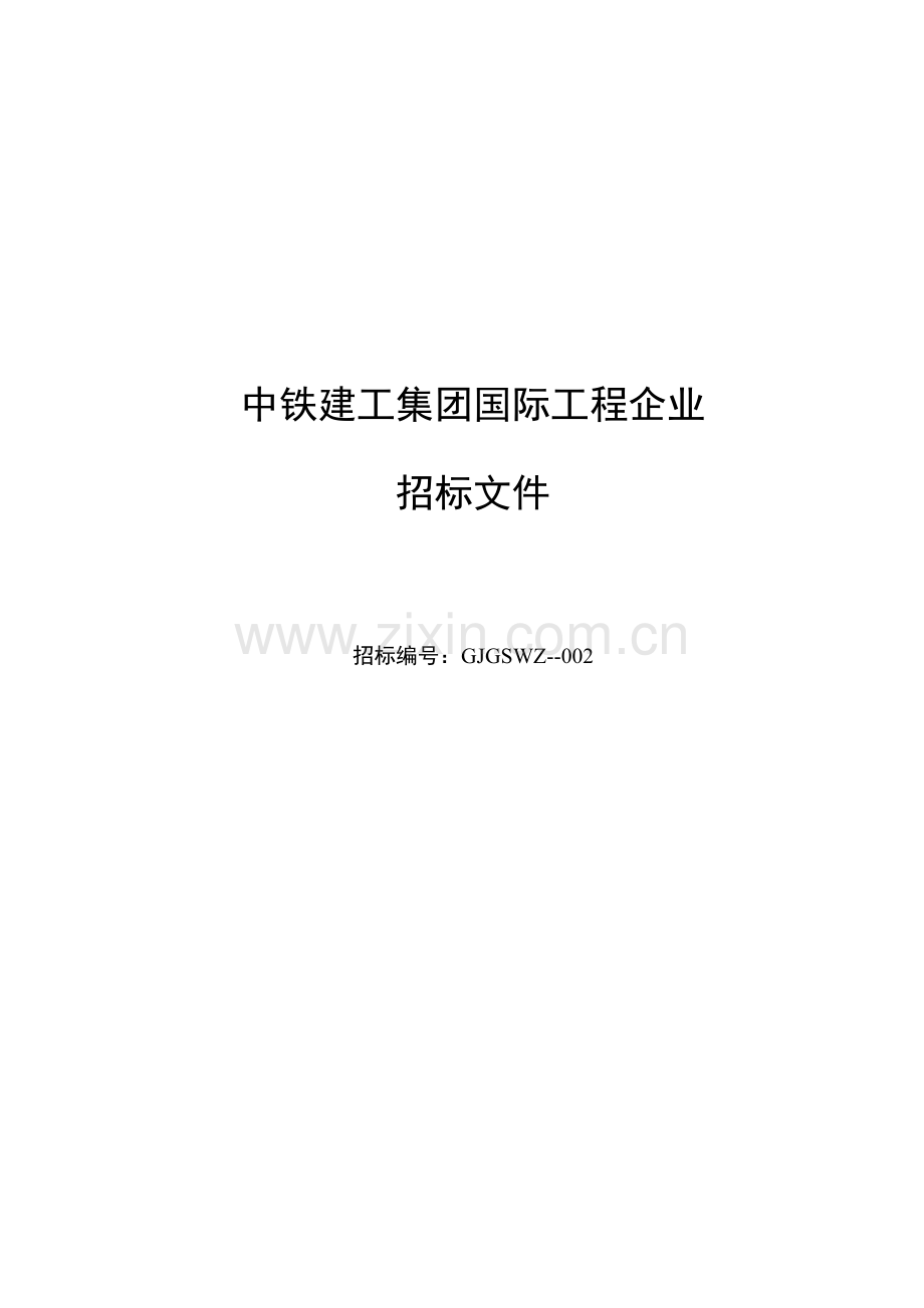 公司国际工程公司招标文件模板.docx_第1页