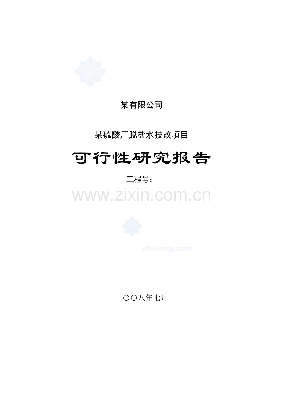 某硫酸厂脱盐水技改项目建设可行性研究论证报告.doc_第1页