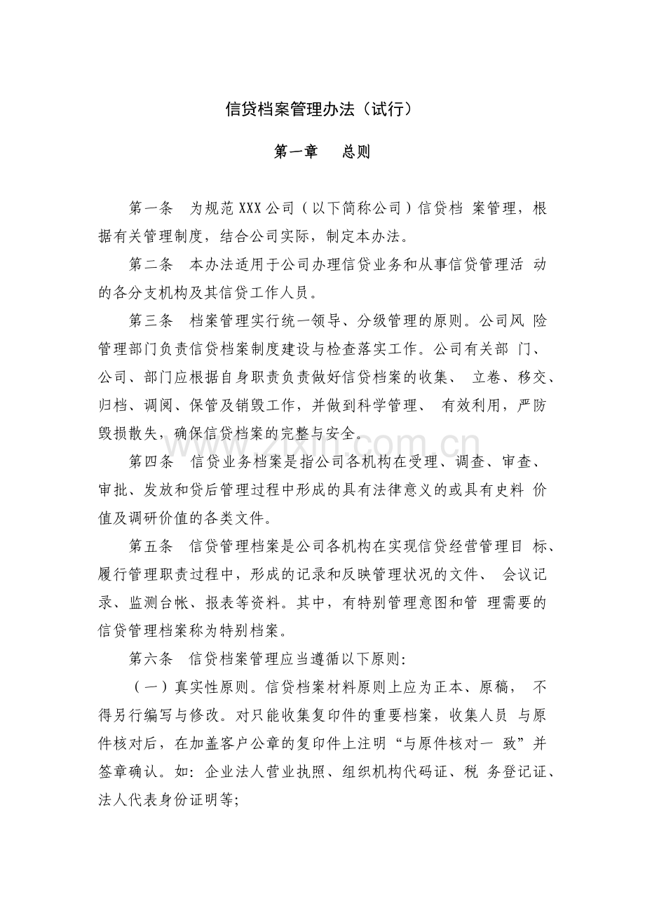 小额公司信贷档案管理办法(试行)模版.docx_第1页