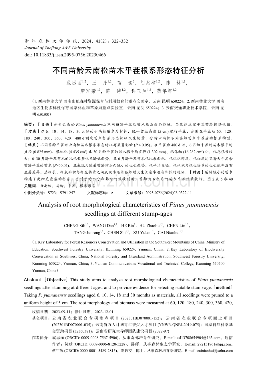 不同苗龄云南松苗木平茬根系形态特征分析.pdf_第1页