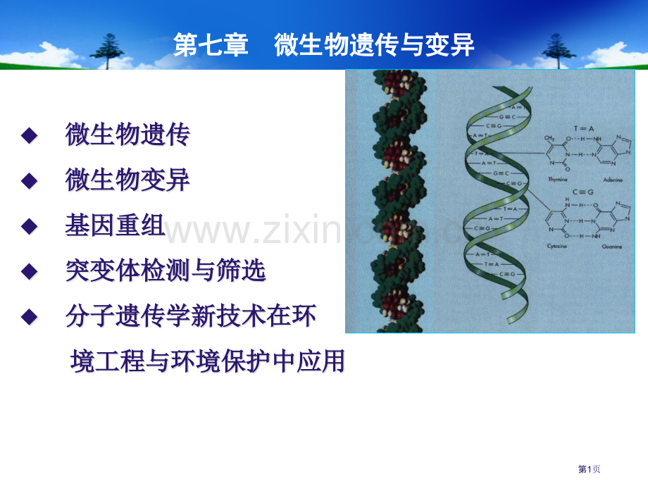 全国年月高等教育自学考试物理工试题省公共课一等奖全国赛课获奖课件.pptx_第1页