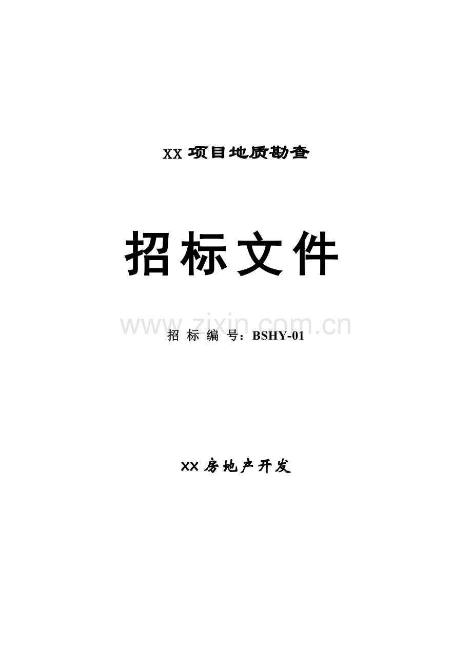 地产开发公司项目地质勘查招标文件模板.doc_第1页