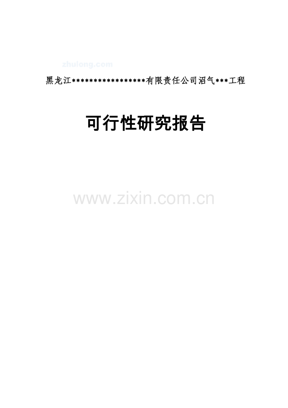 黑龙江有限公司沼气工程项目可行性研究报告--引进欧洲技术(优秀doc100页).doc_第1页