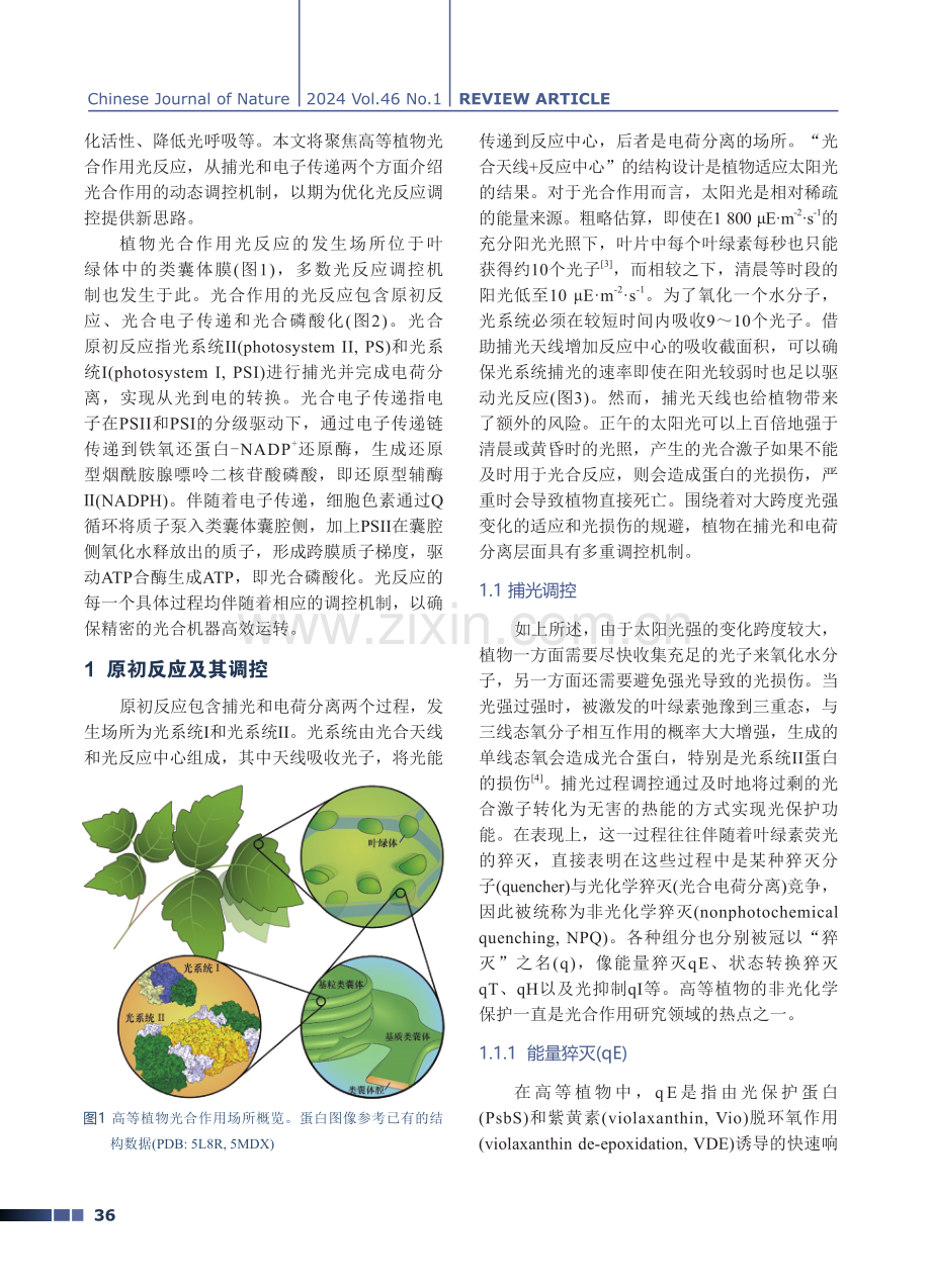 植物光合作用原初反应与电子传递调控.pdf_第2页