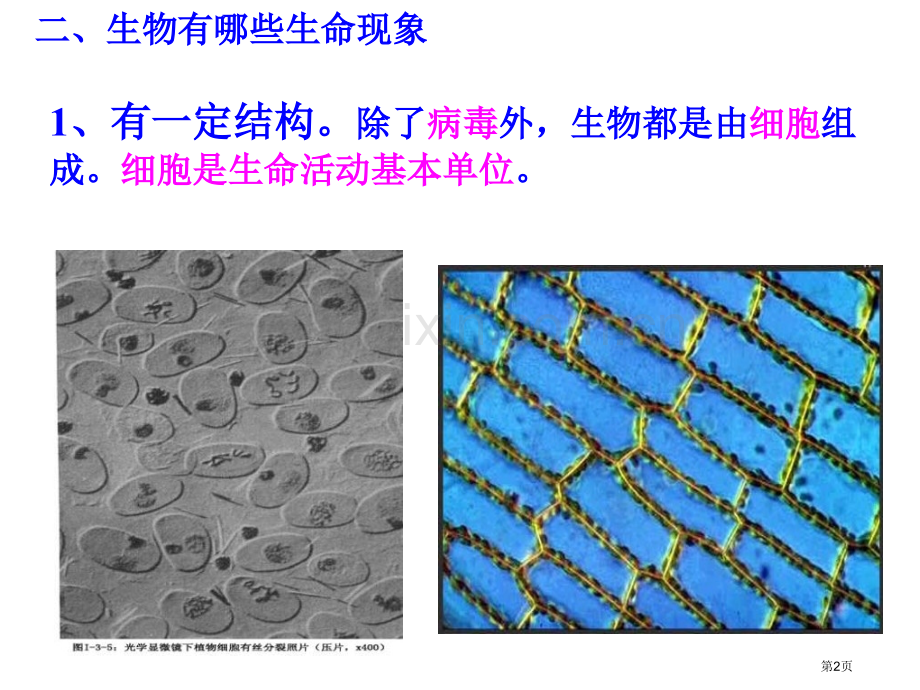 我们周围的生物市公开课一等奖百校联赛获奖课件.pptx_第2页