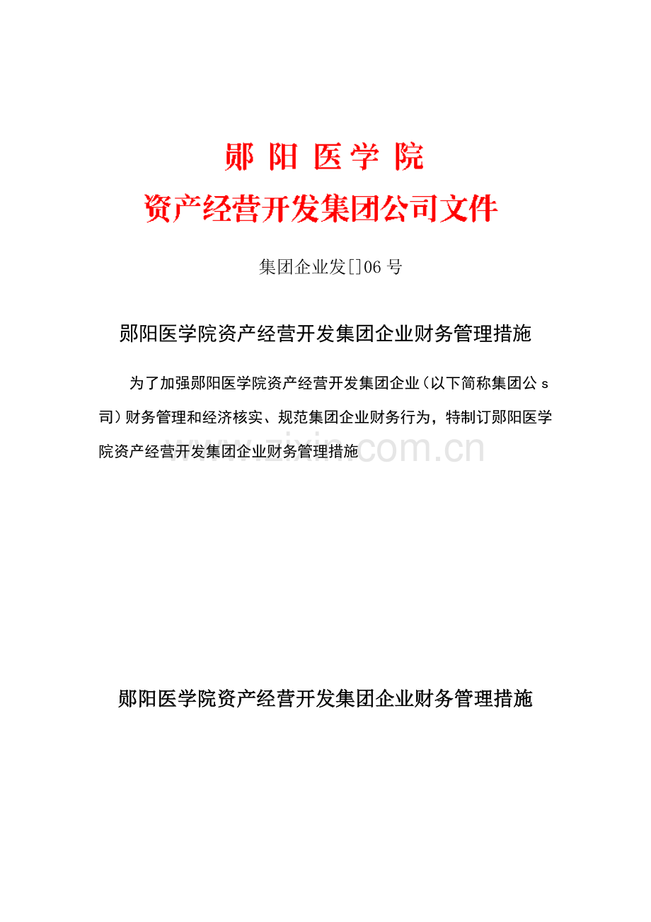 医学院资产经营开发集团公司财务管理办法模板.doc_第1页