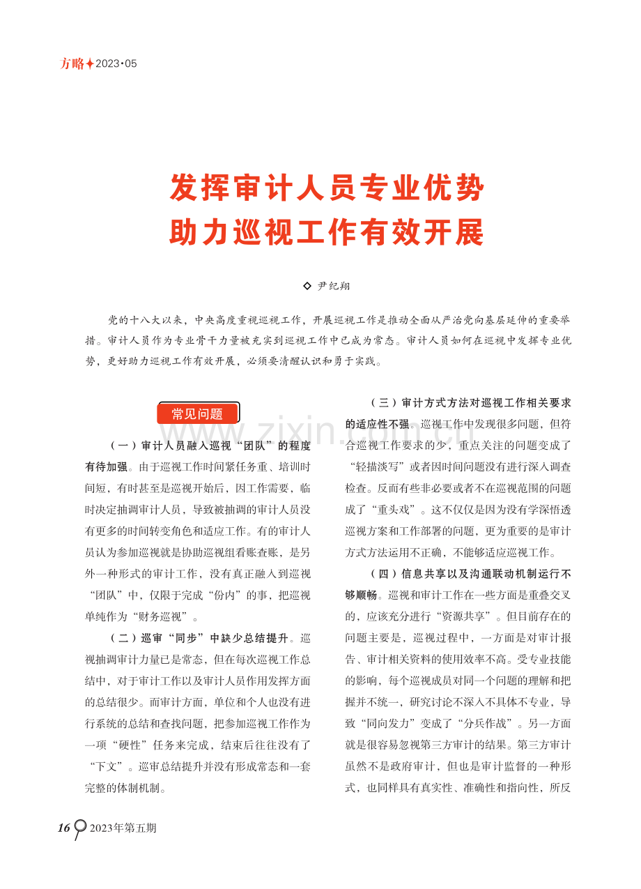 发挥审计人员专业优势 助力巡视工作有效开展.pdf_第1页