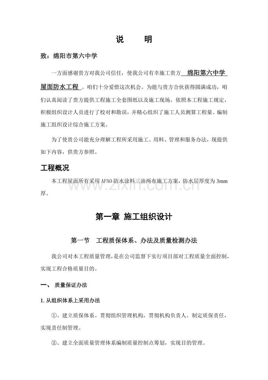 APAO防水综合项目施工专项方案.doc_第2页