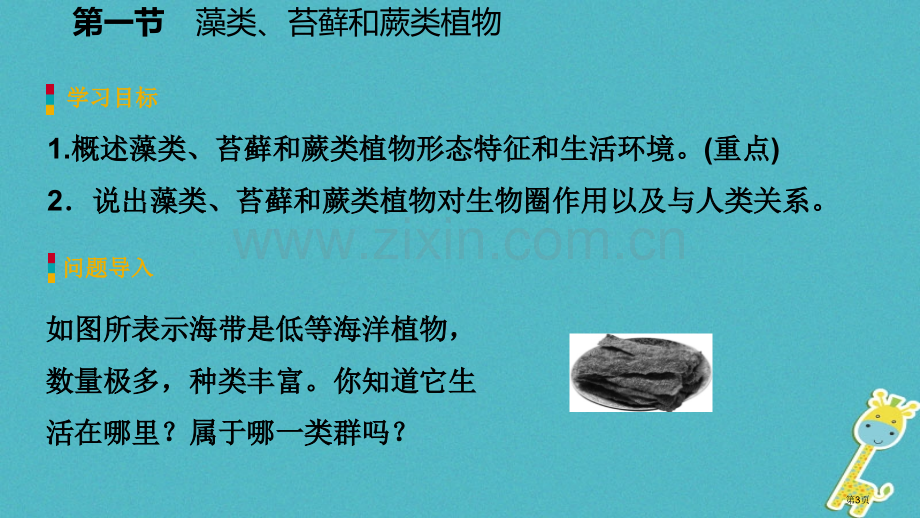 七年级生物上册第三单元第一章第一节-藻类苔藓和蕨类植物市公开课一等奖百校联赛特等奖大赛微课金奖PPT.pptx_第3页