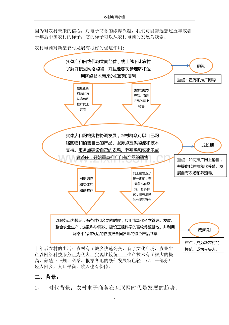 农村电商创业计划书.docx_第3页